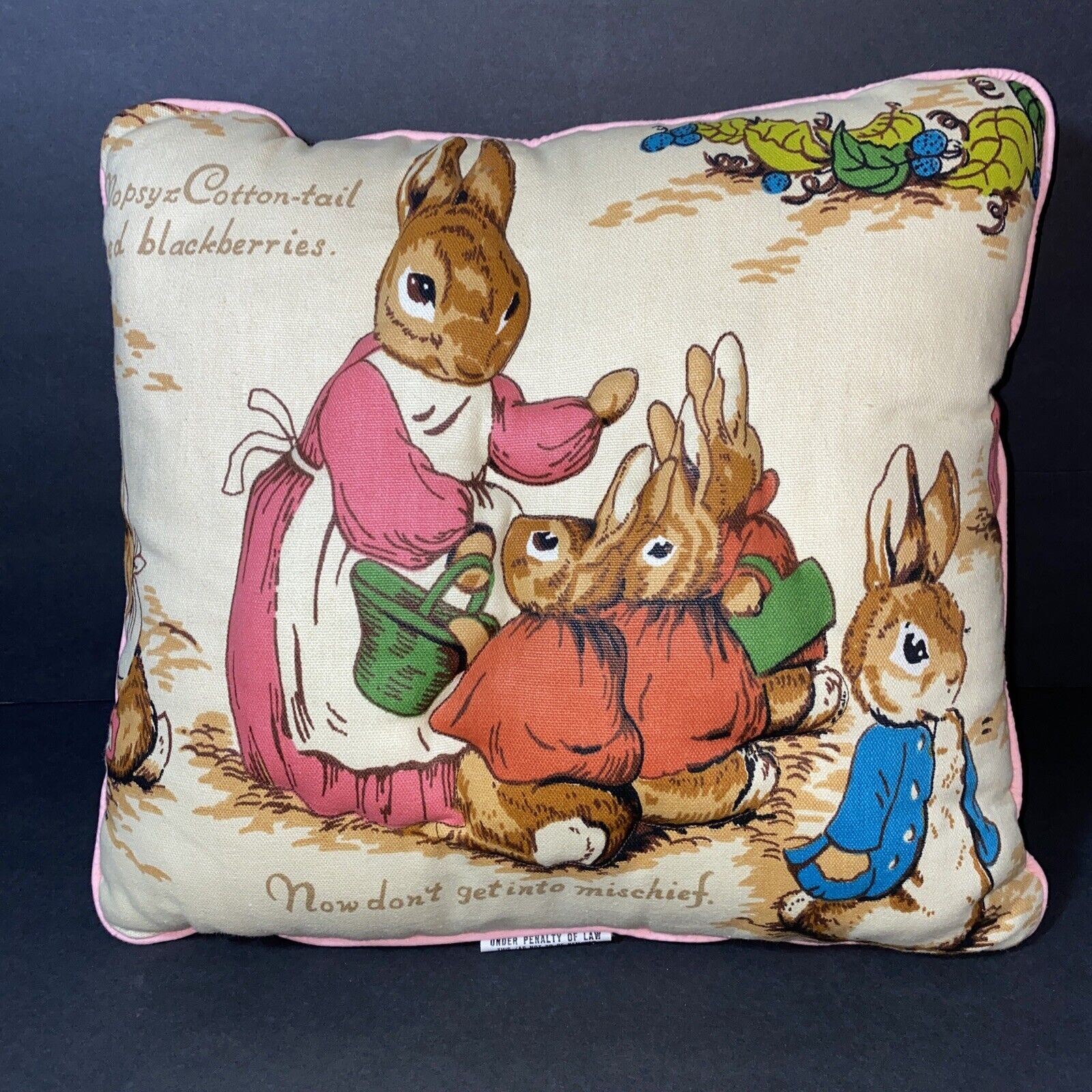 Peter Rabbit Beatrix Potter Vintage Throw Pillow 15"x 15" Mopsy Cottontail